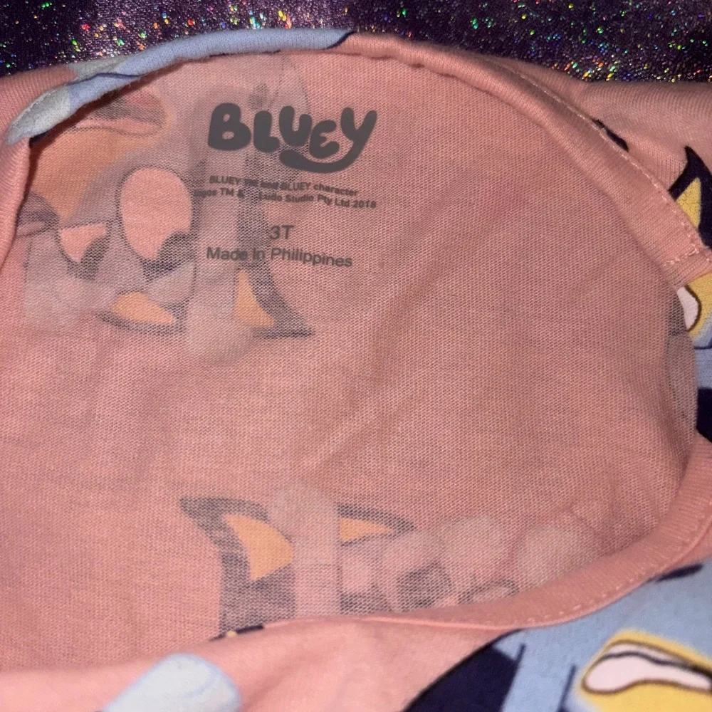 Toddler Bluey Dress